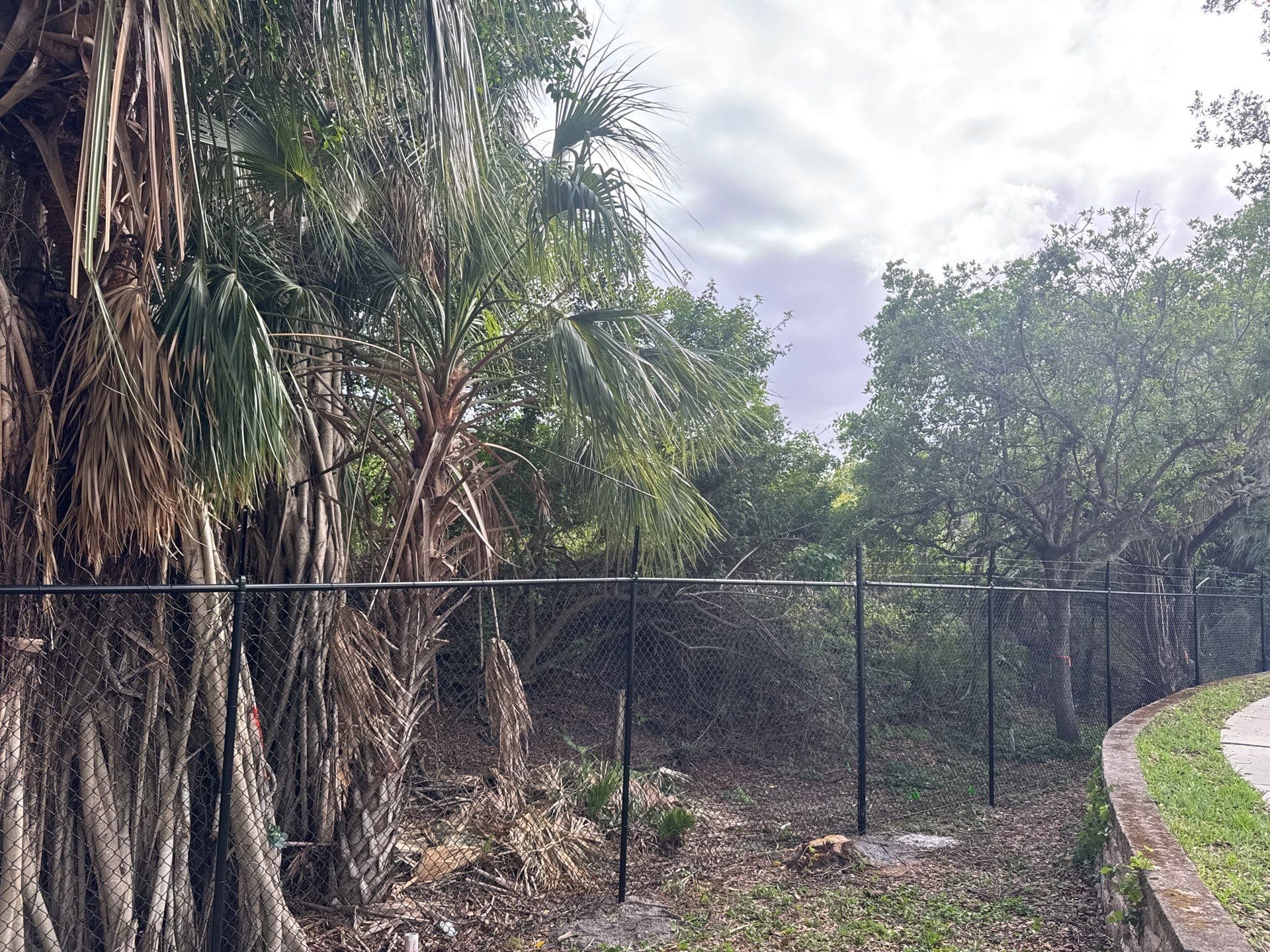 Chain Link installation by ASAP Fence & Gates in AVALON PARK TAVARES PROPERTY OWNERS ASSN INC, FL